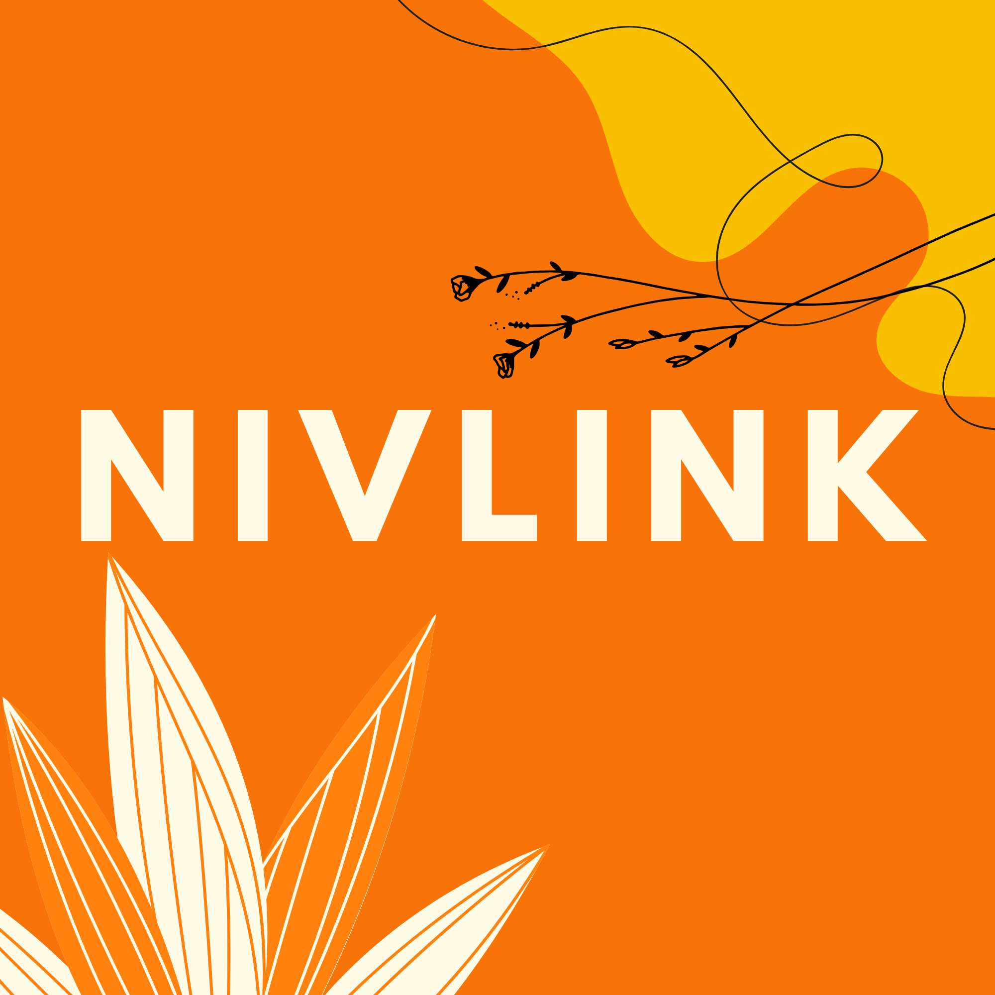 NivLink Project Logo