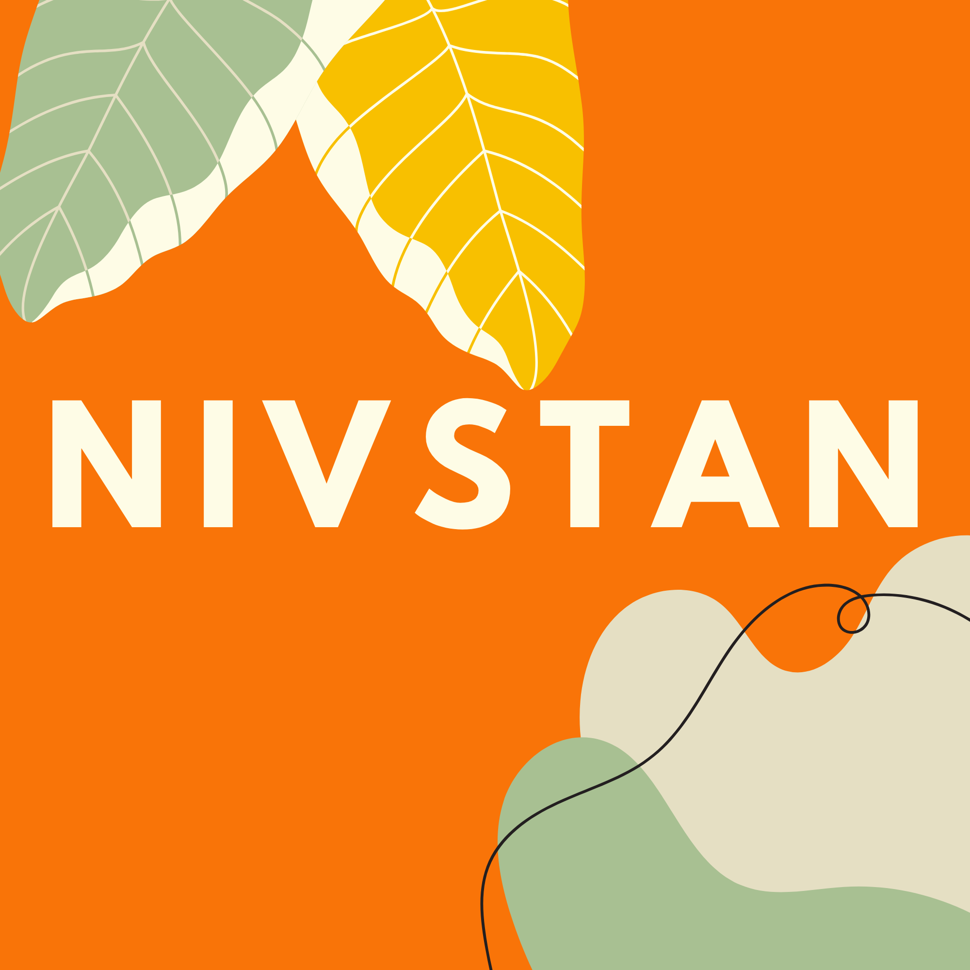 NivStan Project Logo