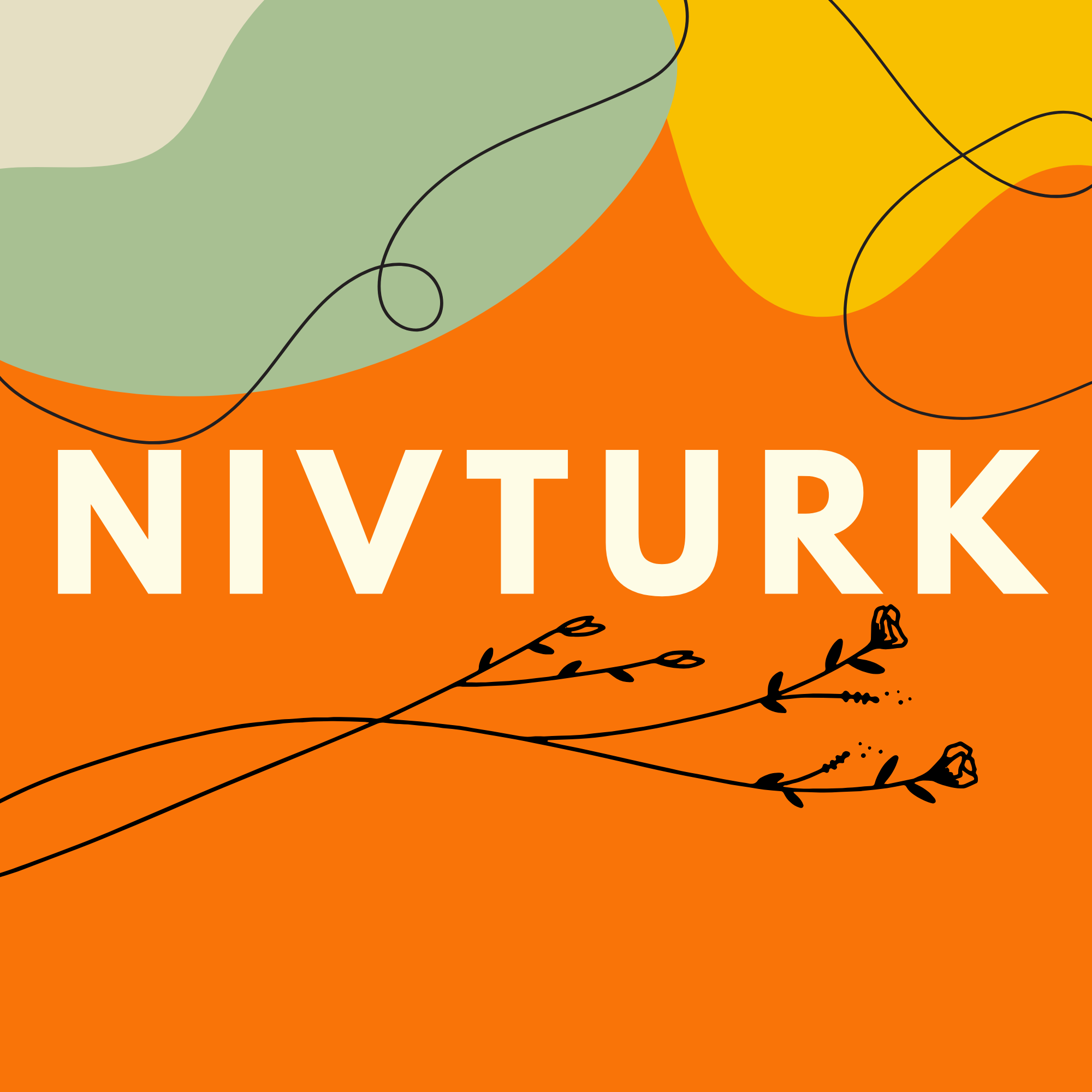 NivTurk Project Logo